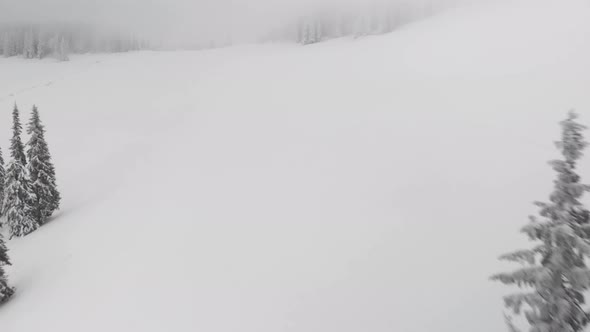 Aerial Flying Fast Over Mountain Winter Pine Forest