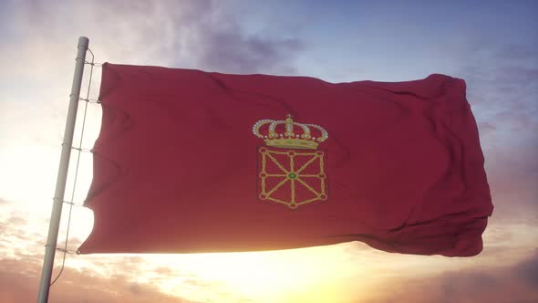 Navarre Flag Spain Waving in the Wind Sky and Sun Background