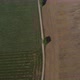 Aerial footage of a road in the middle of two farming fields - VideoHive Item for Sale
