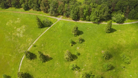 Forward Aerial Over Green Meadows and Pine Trees Along Hiking Path