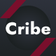 Cribe - Gym Fitness & Sports Center WordPress Theme - ThemeForest Item for Sale