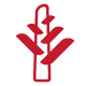 Christmas Transition Logo