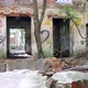 Room In A Ruined Brick Building. Abandoned House With Trees Inside - VideoHive Item for Sale