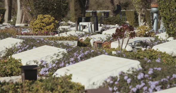 Military cemetery with graves of fallen soldiers in Israel