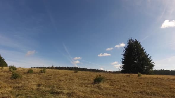 Mountain meadow from car