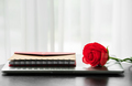 Red rose and the laptop on deck - PhotoDune Item for Sale