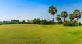 Panorama green grass on golf field with palm tree-2 - PhotoDune Item for Sale