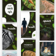Wildlife Instagram Stories Pack - VideoHive Item for Sale