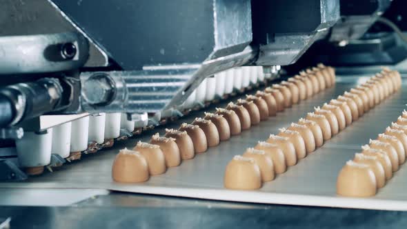 Conveyor Machine Is Making Candies