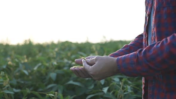 Farmer Uses a Tablet Computer on a Soy Field