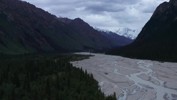 Mountains and trees in a cloudy day