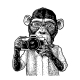 Monkey Photographer Holding Camera - GraphicRiver Item for Sale
