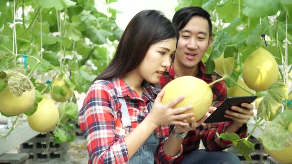 Young Asian Couple of Farmers Using a Digital Tablet in Their Greenhouse Melon Farm