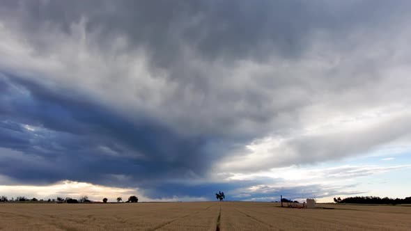 distant trees bejewel the golden wheat field under a majestic sky.