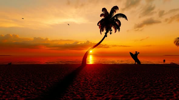 Sea Sunset View and Beach Surfer