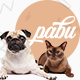 Pabu – Animals and Pets WordPress Theme - ThemeForest Item for Sale
