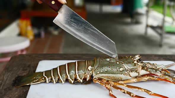 Knife on fresh lobster on cutting board, handheld motion view