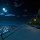 Walking in the Night Park - VideoHive Item for Sale
