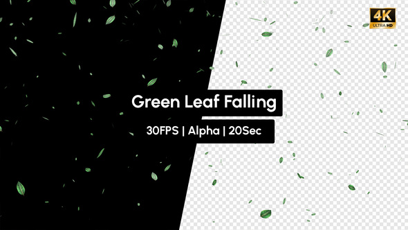 Green Leaf Falling 4K