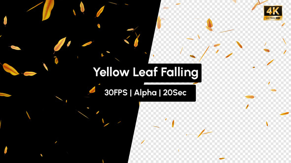 Realistic Yellow Leaf Falling with Alpha