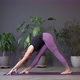 Young Woman Practicing Yoga Doing Down Dog Exercise on a Sport Mat Yoga at Home - VideoHive Item for Sale