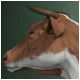 Realistic Brown And White Cow  3D Model - 3DOcean Item for Sale