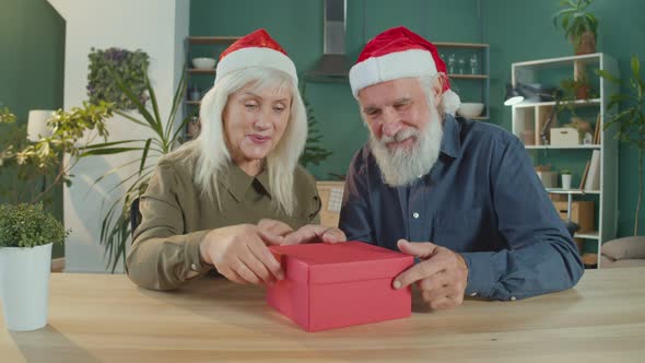 Happy Elderly Couple in Santa Claus Hats Celebrating Christmas Online