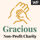 Gracious - Charity and Donation WordPress Theme - ThemeForest Item for Sale