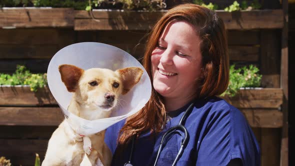 Dog in a shelter with volunteer