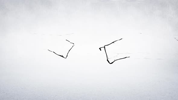 Handshaking drawn on a white background