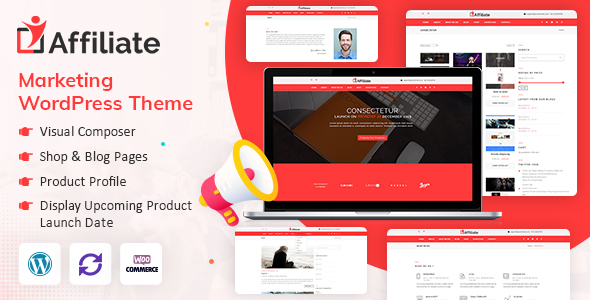 Affiliate Marketing WordPress Theme