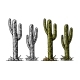 Cactus Saguaro - GraphicRiver Item for Sale