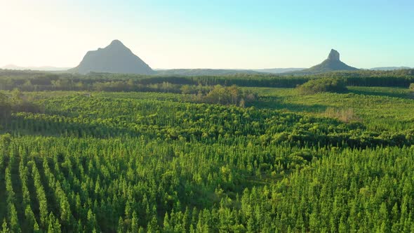 Aerial view of the Glass House Mountains, Sunshine Coast Hinterland.