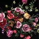 Bouguet assorted with roses - 3DOcean Item for Sale