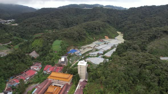 Cameron Highlands, Pahang Malaysia