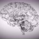 Plexus Brains Zoom  - VideoHive Item for Sale