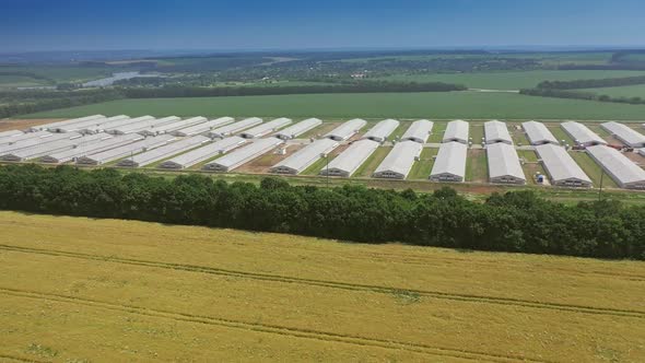 Aerial view on the roofs of modern farmhouses in the countryside