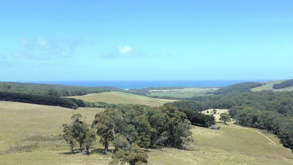 Australian Outback Farmland Aerial Flyover in the Summer
