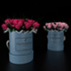 Roses in boxes Florentin - 3DOcean Item for Sale