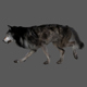 Wolf walk - animation loop, all view - VideoHive Item for Sale