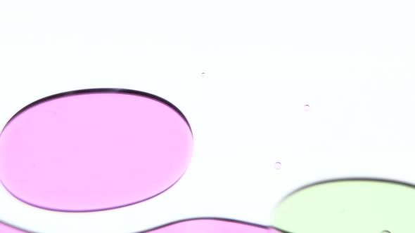 Colorful Oil Bubbles. White. Close Up
