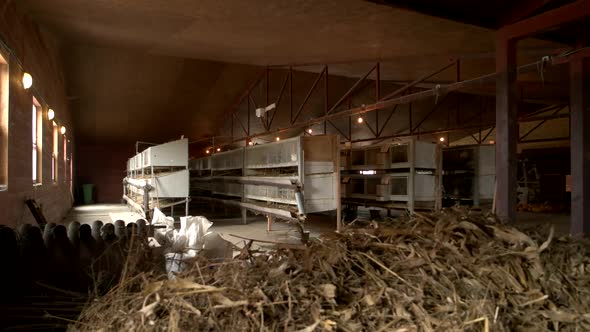 Wooden Cages for Breeding Rabbits at Farm