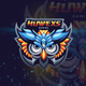 Owl Head Gaming Logo - GraphicRiver Item for Sale