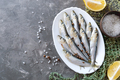 Freshly caught sea small fish on a plate on a gray concrete background - PhotoDune Item for Sale