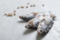 Salted or air-dried carp on a light concrete background. Traditional beer snack. - PhotoDune Item for Sale