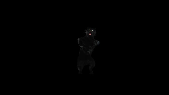 Panther Dancing HD