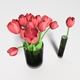 Bouquet Tulipa 3in1 - 3DOcean Item for Sale