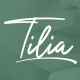 Tilia - Photography Portfolio WordPress Theme - ThemeForest Item for Sale