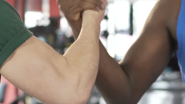 Two Male Friends Shaking Hands in Gym, Muscular Arms of Strong Men, Support