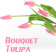 Bouquet Tulipa - 3DOcean Item for Sale